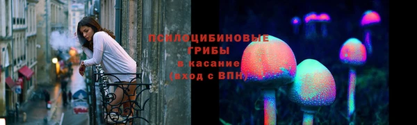 спайс Арсеньев