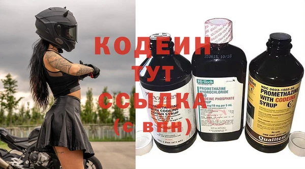прущие грибы Армянск