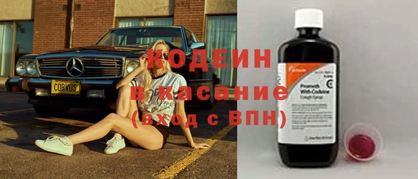 прущие грибы Армянск