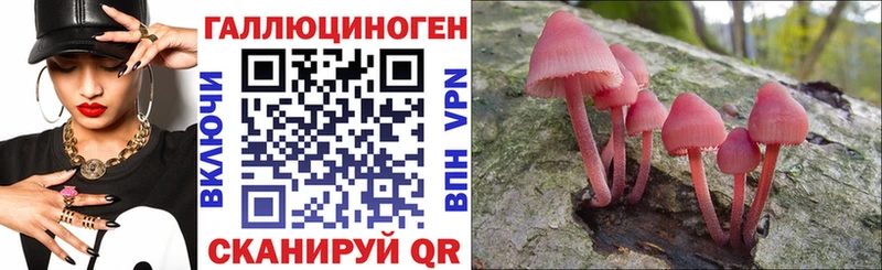 Псилоцибиновые грибы Psilocybine cubensis  Купить закладки  Мариинск 